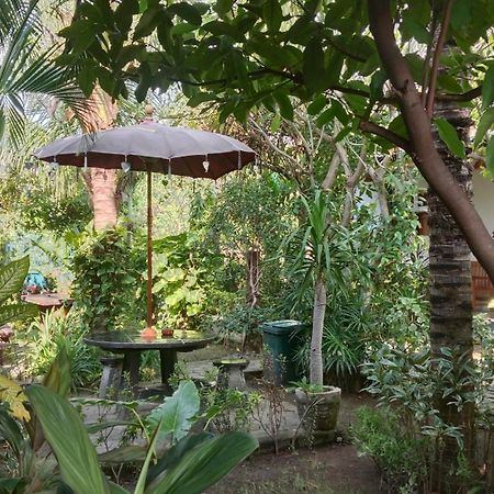 Van Santri Homestay Pemuteran 외부 사진