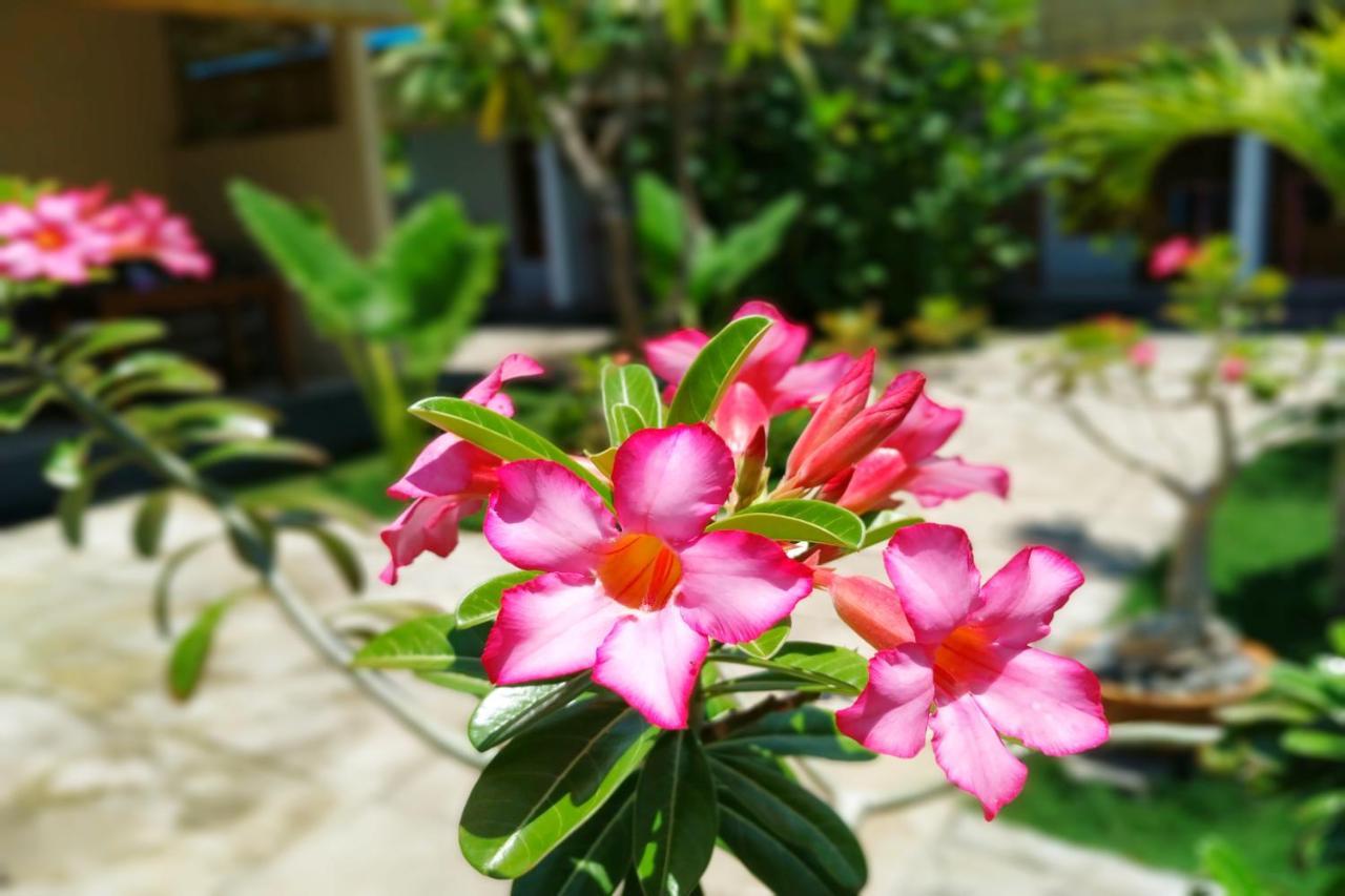 Van Santri Homestay Pemuteran 외부 사진